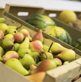friocargo-productos-frutas-verduras