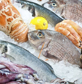 friocargo-productos-pescados-y-mariscos