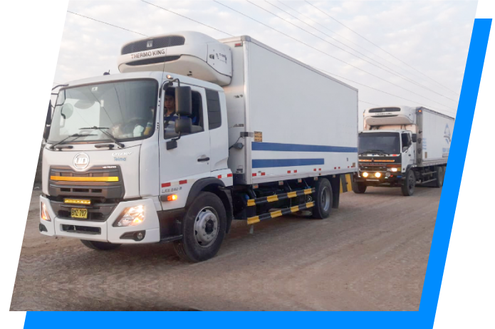 friocargo-servicios-fila-camiones-carretera