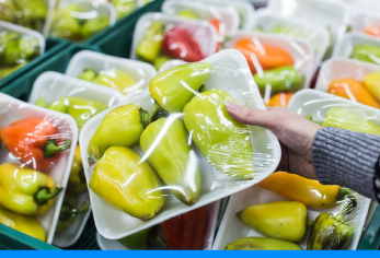 friocargo-frutas-y-verduras-envasadas