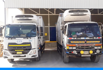 friocargo-camiones-almacen-empresa